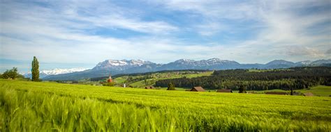 sonnefeld ruswil|Wohnüberbauung Sonnefeld, Ruswil